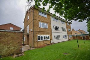 Communal Gardens- click for photo gallery